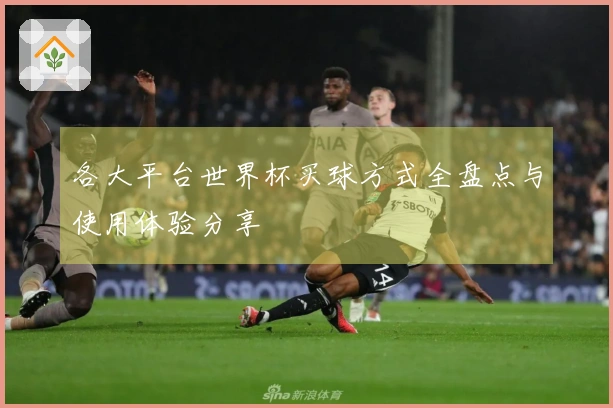 各大平台世界杯买球方式全盘点与使用体验分享