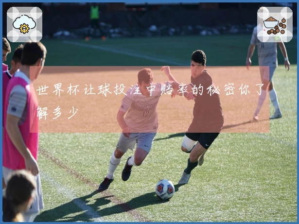 世界杯让球投注中赔率的秘密你了解多少