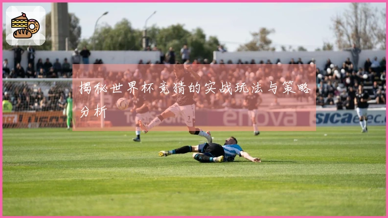 揭秘世界杯竞猜的实战玩法与策略分析