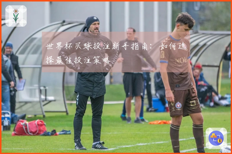 世界杯买球投注新手指南：如何选择最佳投注策略