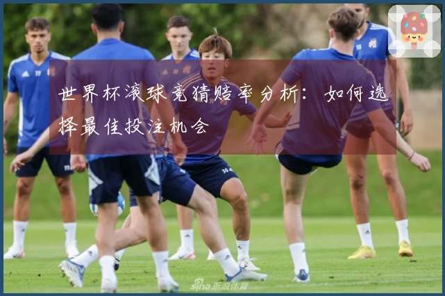 世界杯滚球竞猜赔率分析：如何选择最佳投注机会