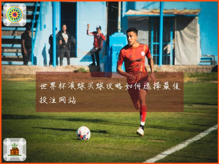 世界杯滚球买球攻略如何选择最佳投注网站