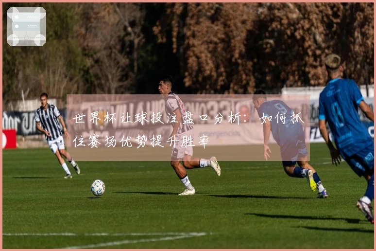 世界杯让球投注盘口分析：如何抓住赛场优势提升胜率